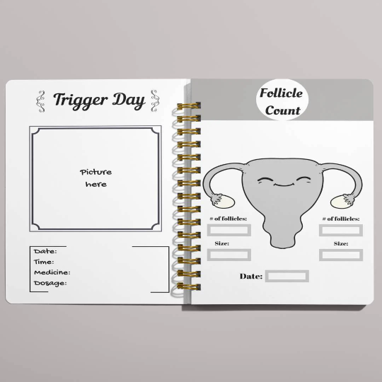 IVF Planner Kit